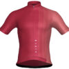 Degrade Claret Red