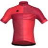 Heavily Striped Claret Red